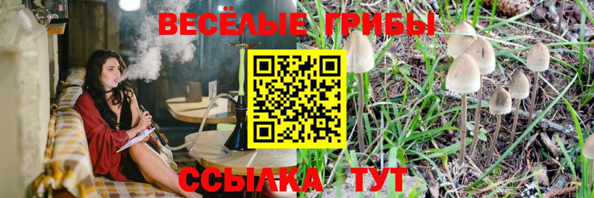 Менделеевск  Галлюциногенные грибы MAGIC MUSHROOMS  Вход с VPN  Галлюциногенные грибы Psilocybine cubensis 
